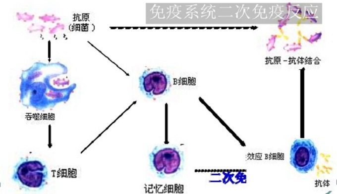 長(zhǎng)虹遙控器菜單鍵