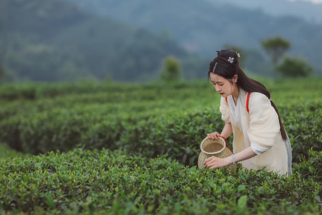 美的飲水機售后服務